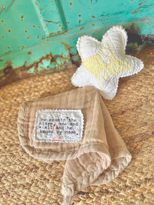 Barn Baby Collection- Star Lovey #1