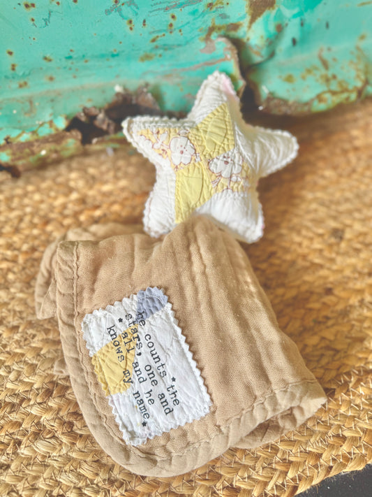 Barn Baby Collection- Star Lovey #6