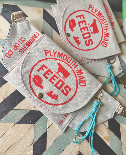 Limited Collection Crossbody Sling Pouch 2